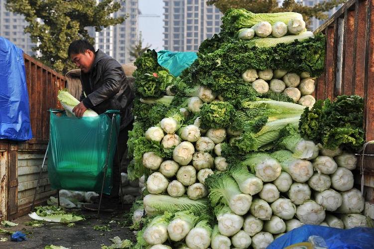10月22日,在太原市河西农副产品批发市场,一位菜商在整理蔬菜