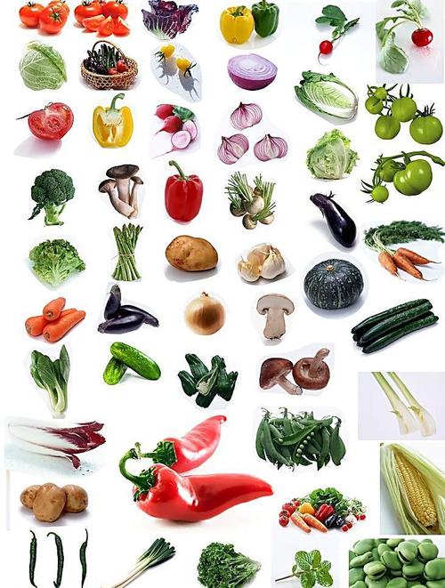 蔬菜大全图片产品工业素材免费下载(图片编号:3633669)-六图网